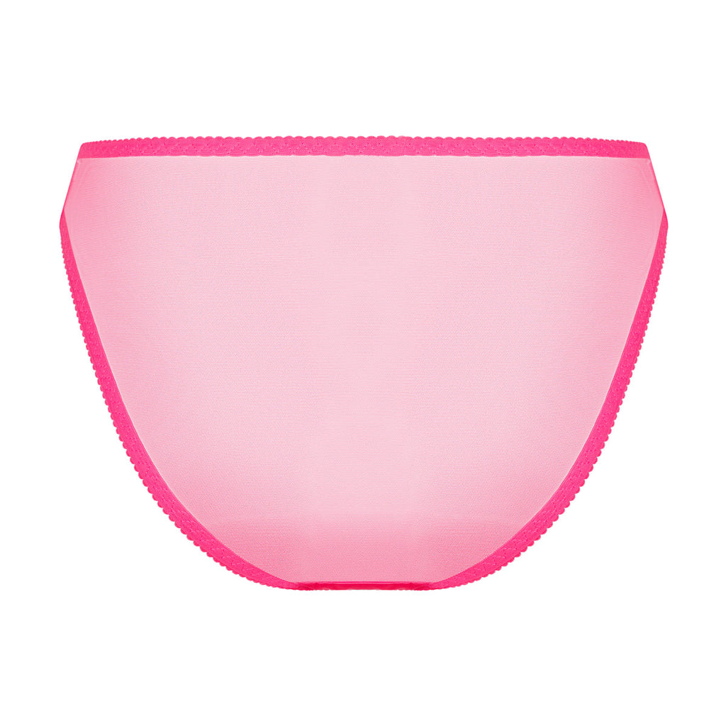 Audrey Bikini Brief |  Bundle Test