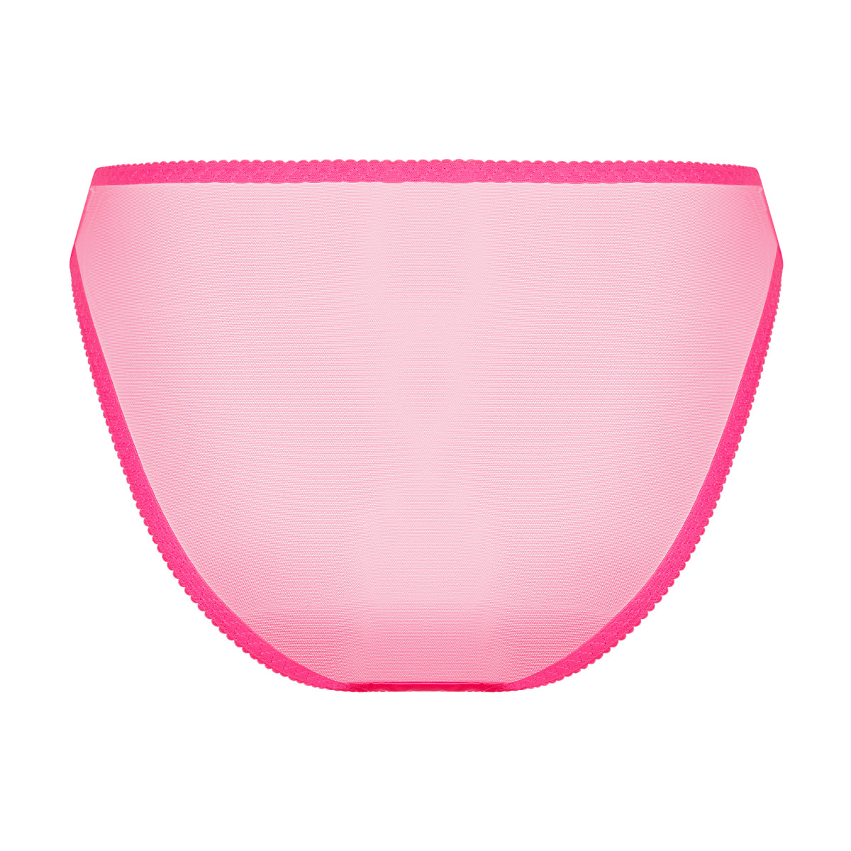Audrey Bikini Brief |  Bundle Test